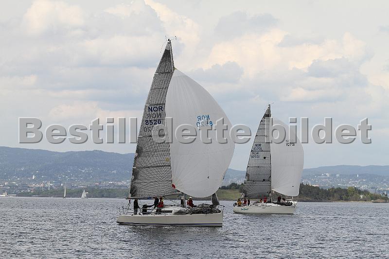 Bundefjorden2012 366.jpg